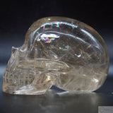 Citrine Skull (C26)