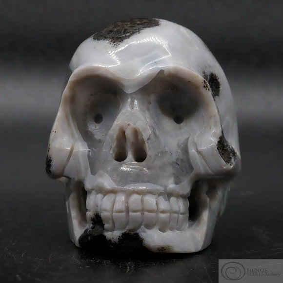 Coconut Geode Human Skull (Geo26)