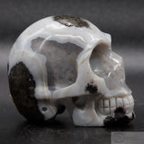 Coconut Geode Human Skull (Geo26)