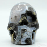 Coconut Geode Human Skull