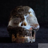 Coconut Geode Human Skull