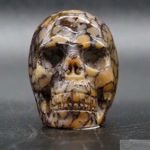 Coffee Jasper Human Skull (CJ01)