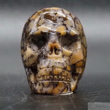 Coffee Jasper Human Skull (CJ01)