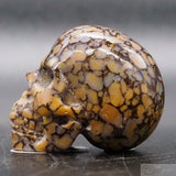 Coffee Jasper Human Skull (CJ01)