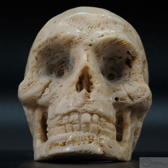 Coral Human Skull