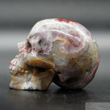 Crazy Lace Agate Human Skull (CLA06)