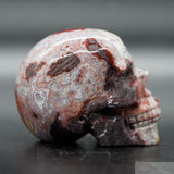 Crazy Lace Agate Human Skull (CLA06)