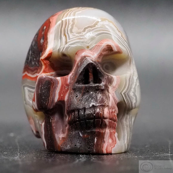 Crazy Lace Agate Human Skull (CLA12)