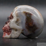 Crazy Lace Agate Human Skull (CLA12)