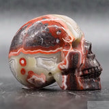 Crazy Lace Agate Human Skull (CLA12)