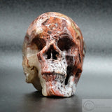 Crazy Lace Agate Human Skull