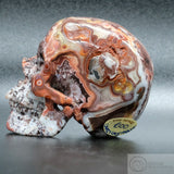 Crazy Lace Agate Human Skull