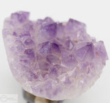 Druze Amethyst Skull (DA11)