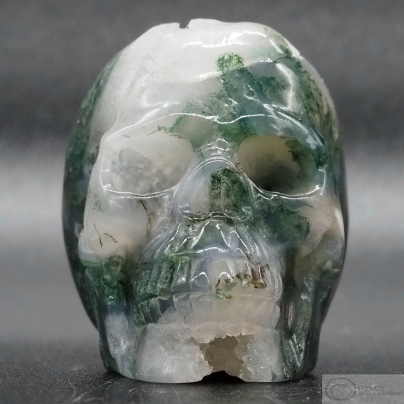 Dendritic Agate Human Skull (DAg01)