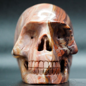 Dolomite Human Skull