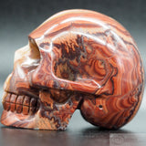 Dolomite Human Skull