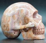 Dolomite Human Skull