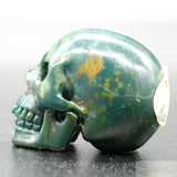 Dragon Bloodstone Human Skull (DBS05)