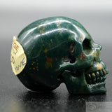 Dragon Bloodstone Human Skull (DBS05)