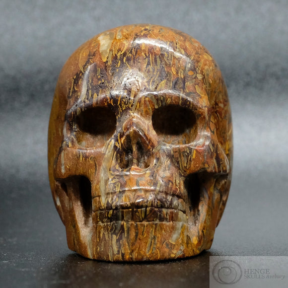 Elephant Skin Jasper Human Skull (ESJ01)