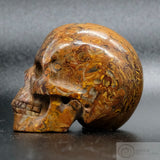 Elephant Skin Jasper Human Skull (ESJ01)