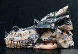 Explosion Breccia Dragon Skull