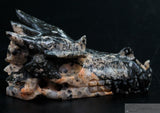 Explosion Breccia Dragon Skull