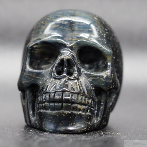 Falcon Eye Human Skull (FE02)