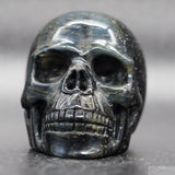 Falcon Eye Human Skull (FE02)