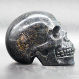 Falcon Eye Human Skull (FE02)