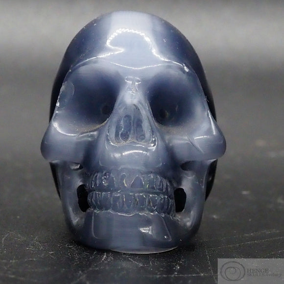 Fibre Optic Human Skull