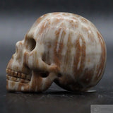 Fossil Coral Human Skull (FC04)