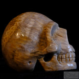 Fossilised Coral Human Skull