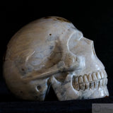 Fossilised Coral Human Skull