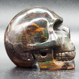 Fossilised Wood Human Skull
