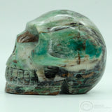 Fossilised Wood Human Skull (Fw01)