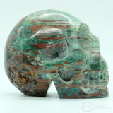 Fossilised Wood Human Skull (Fw01)