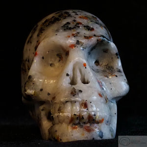 Franklinite Human Skull