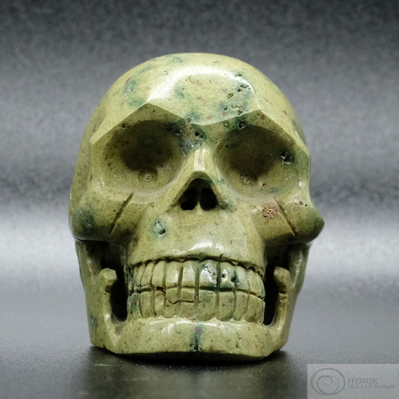 Frog Skin Jasper Human Skull (FSJ05)