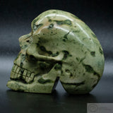 Frog Skin Jasper Human Skull (FSJ04)
