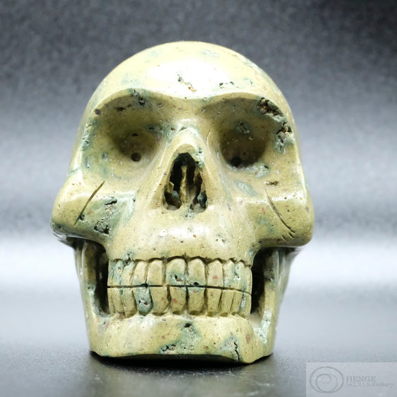 Frog Skin Jasper Human Skull (FSJ03)