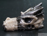 Frosterley Marble Dragon Skull