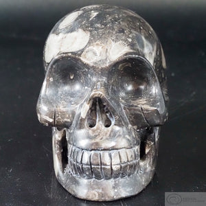 Frosterly Marble Human Skull  (FM04)