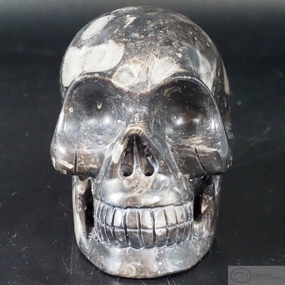 Frosterly Marble Human Skull  (FM04)