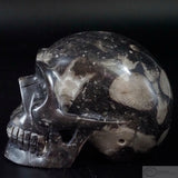 Frosterly Marble Human Skull  (FM04)