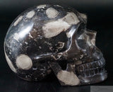 Frosterly Marble Human Skull  (FM04)
