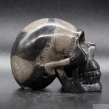 Frosterly Marble Human Skull (FM27)