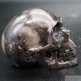 Frosterly Marble Human Skull (FM05)