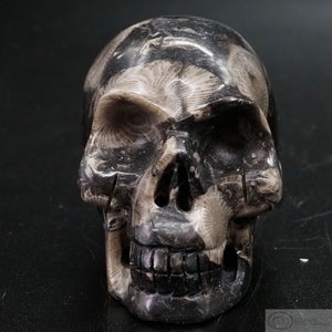 Frosterly Marble Human Skull