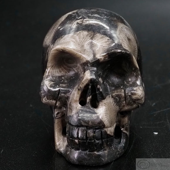 Frosterly Marble Human Skull